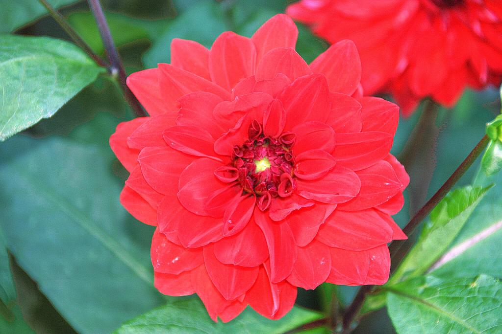 Foto de Angers, Francia