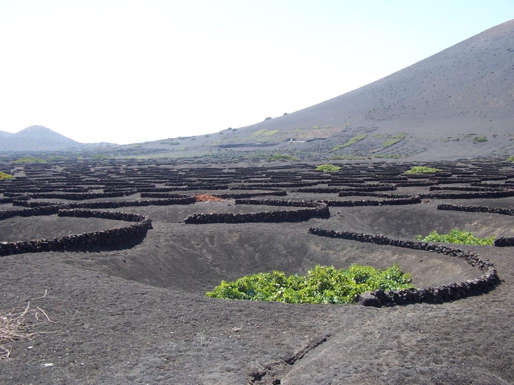 Foto de Lanzarote (Las Palmas), España