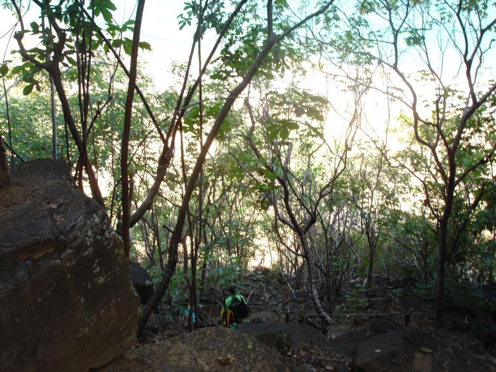 Foto de Fernando de Noronha, Brasil