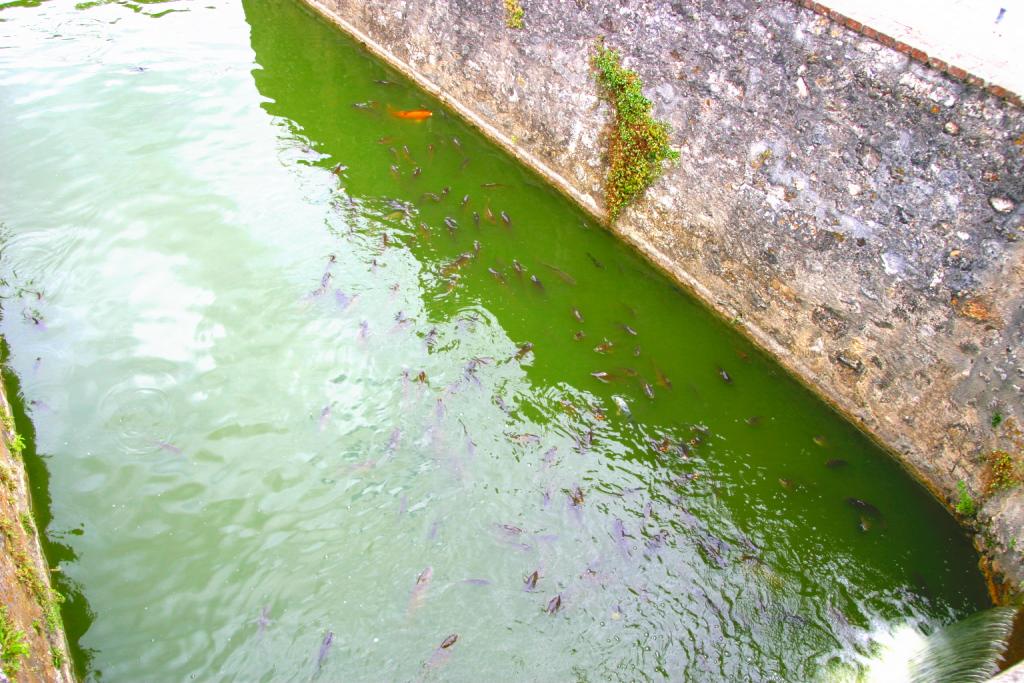 Foto de Villandry, Francia