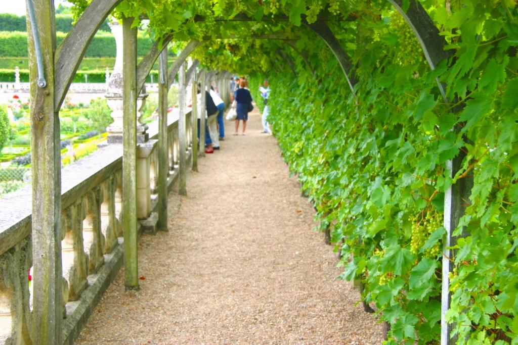 Foto de Villandry, Francia