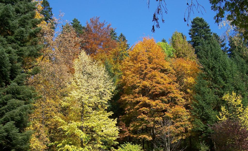 Foto de Sinaia, Rumania