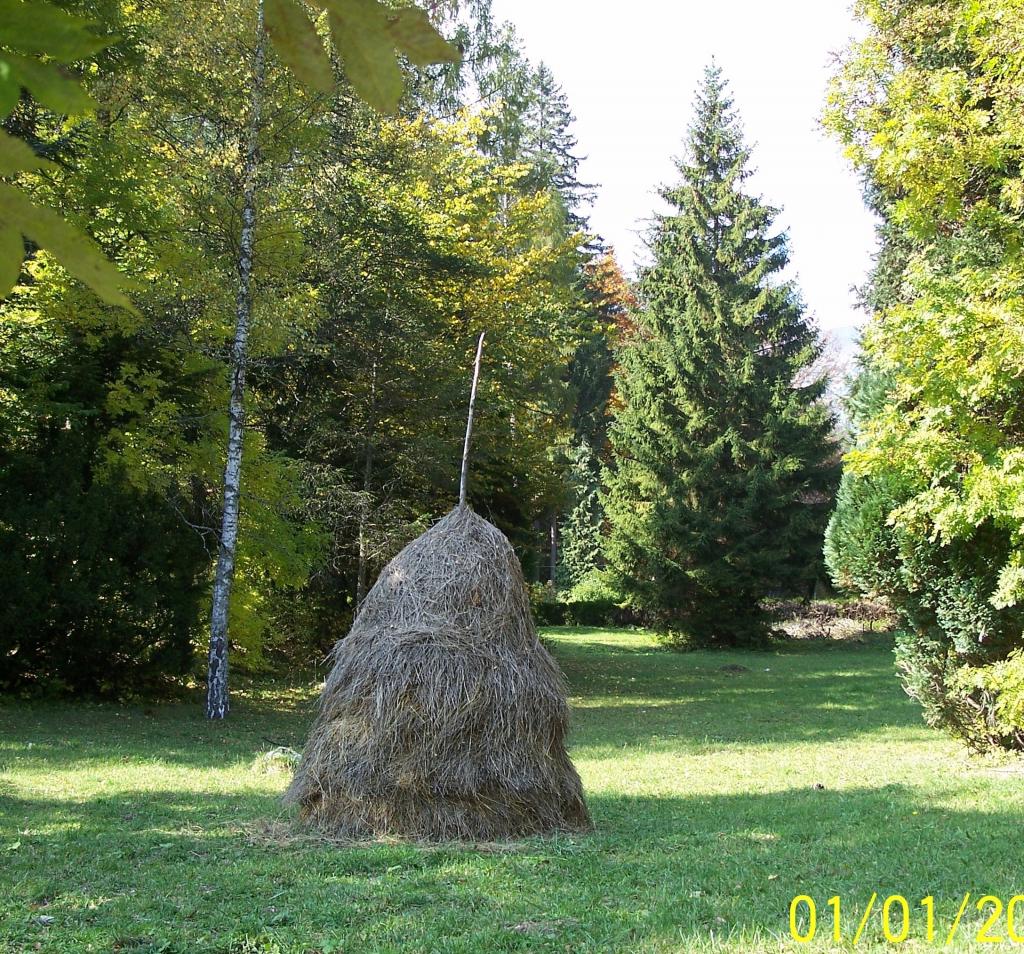 Foto de Sinaia, Rumania