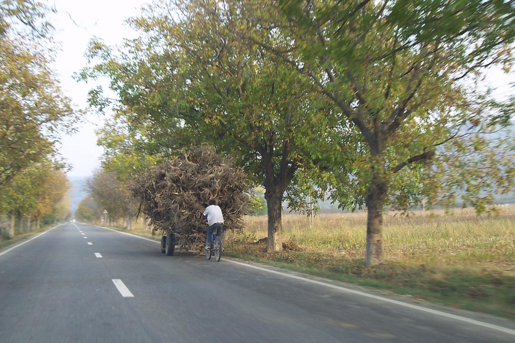 Foto de Brasov, Rumania