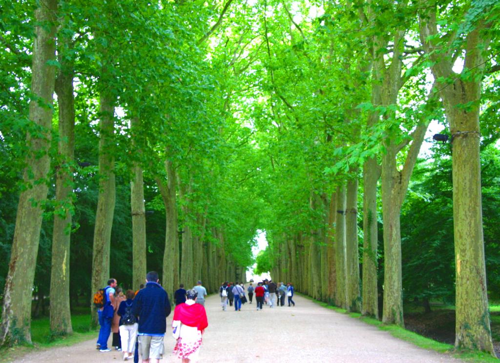 Foto de Chenonceaux, Francia