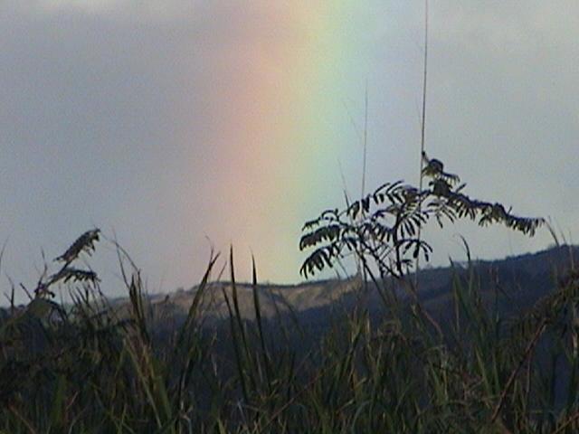 Foto de Buenos Aires (Puntarenas), Costa Rica