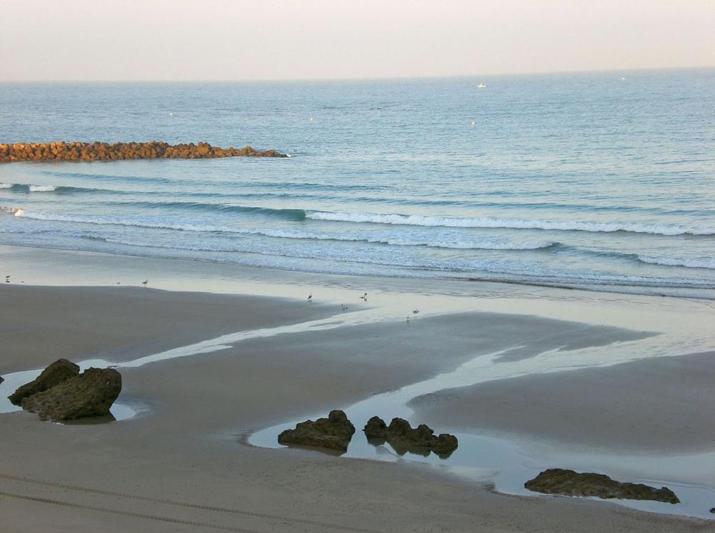 Foto de Cádiz (Andalucía), España