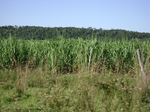 Foto de Paraguari, Paraguay