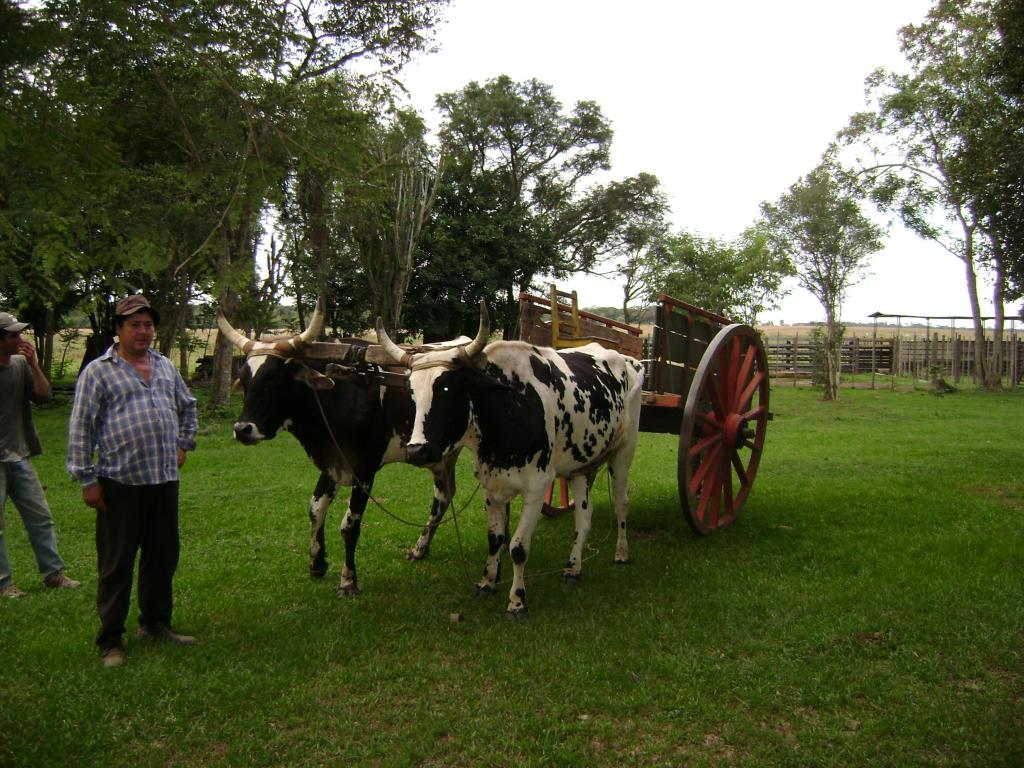 Foto de San José (Caaguazu), Paraguay