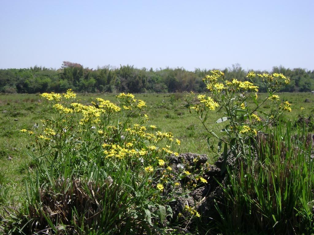 Foto de San José (Caaguazu), Paraguay