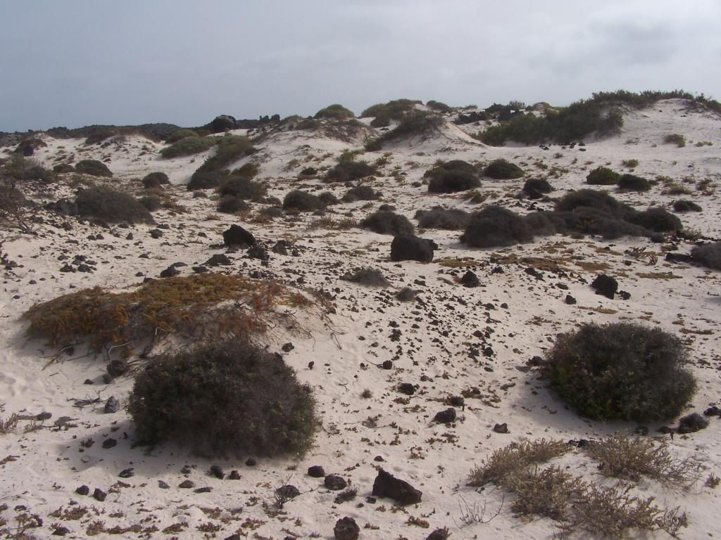 Foto de Lanzarote (Las Palmas), España
