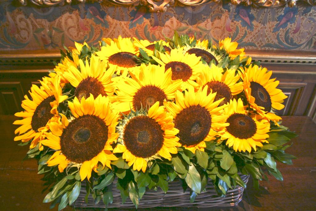 Foto de Chenonceaux, Francia