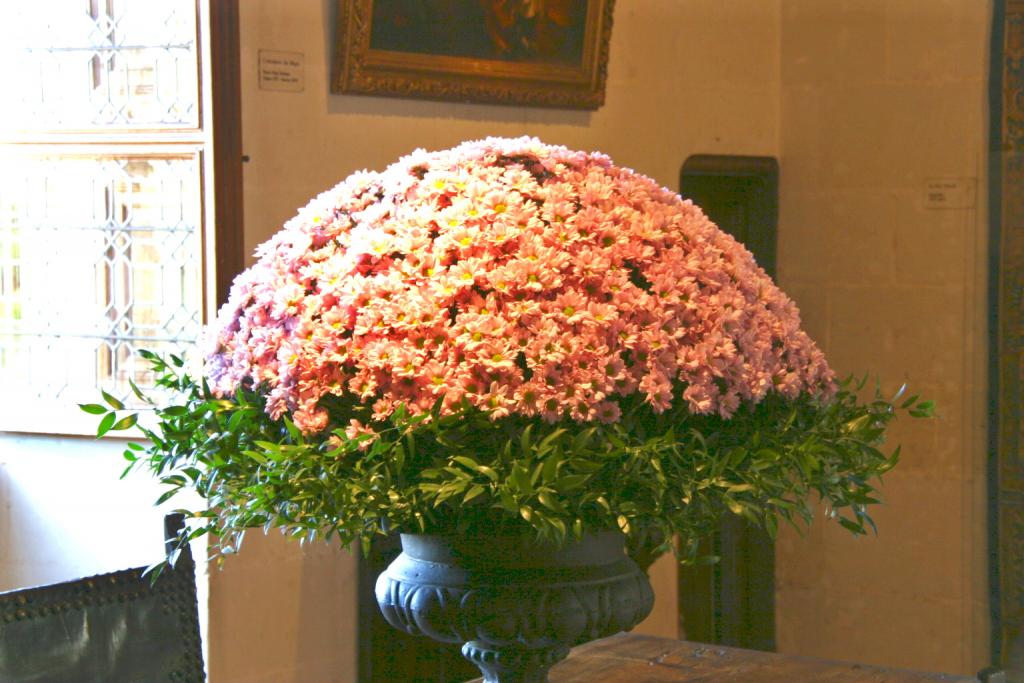 Foto de Chenonceaux, Francia