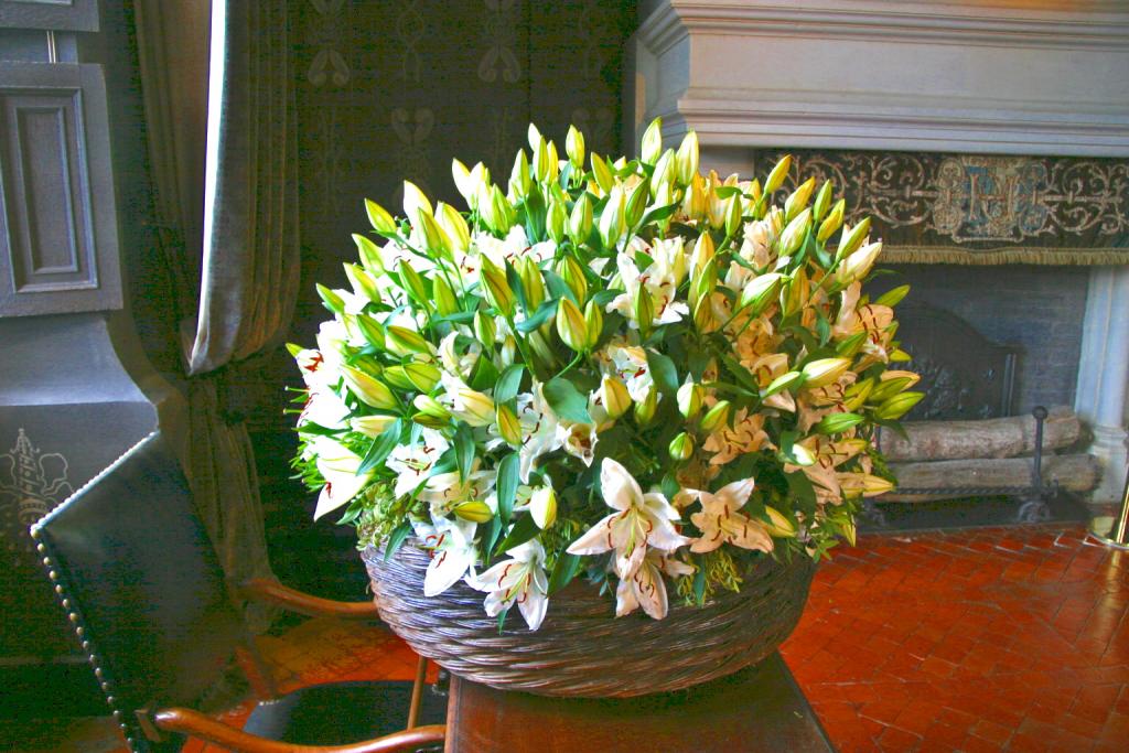 Foto de Chenonceaux, Francia