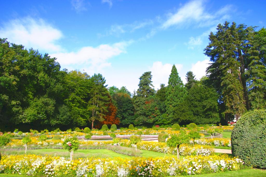 Foto de Chenonceaux, Francia