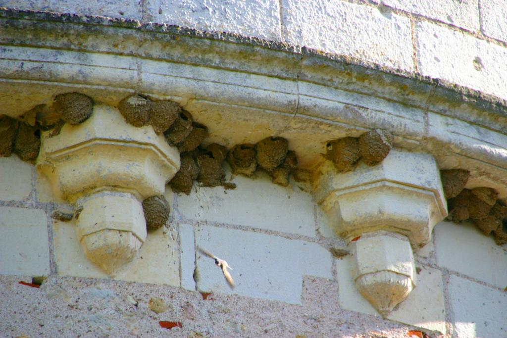Foto de Chenonceaux, Francia