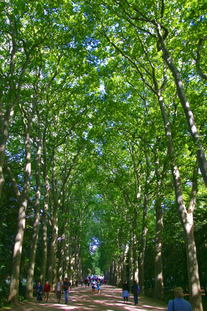 Foto de Chenonceaux, Francia