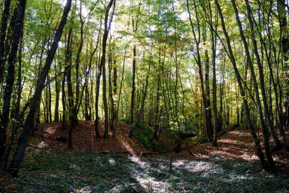 Foto de Barcelona (Cataluña), España