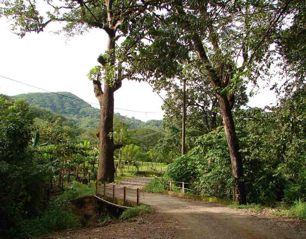 Foto de Lepanto (Puntarenas), Costa Rica