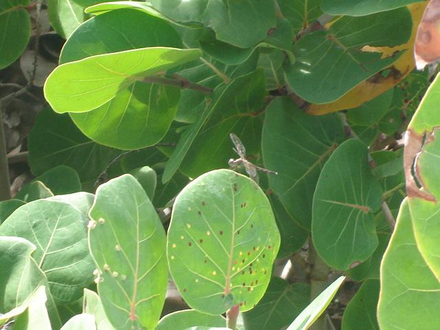 Foto de Cancun, México