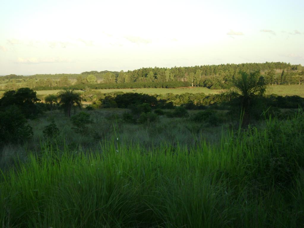 Foto de Itacurubi de la Cordillera, Paraguay