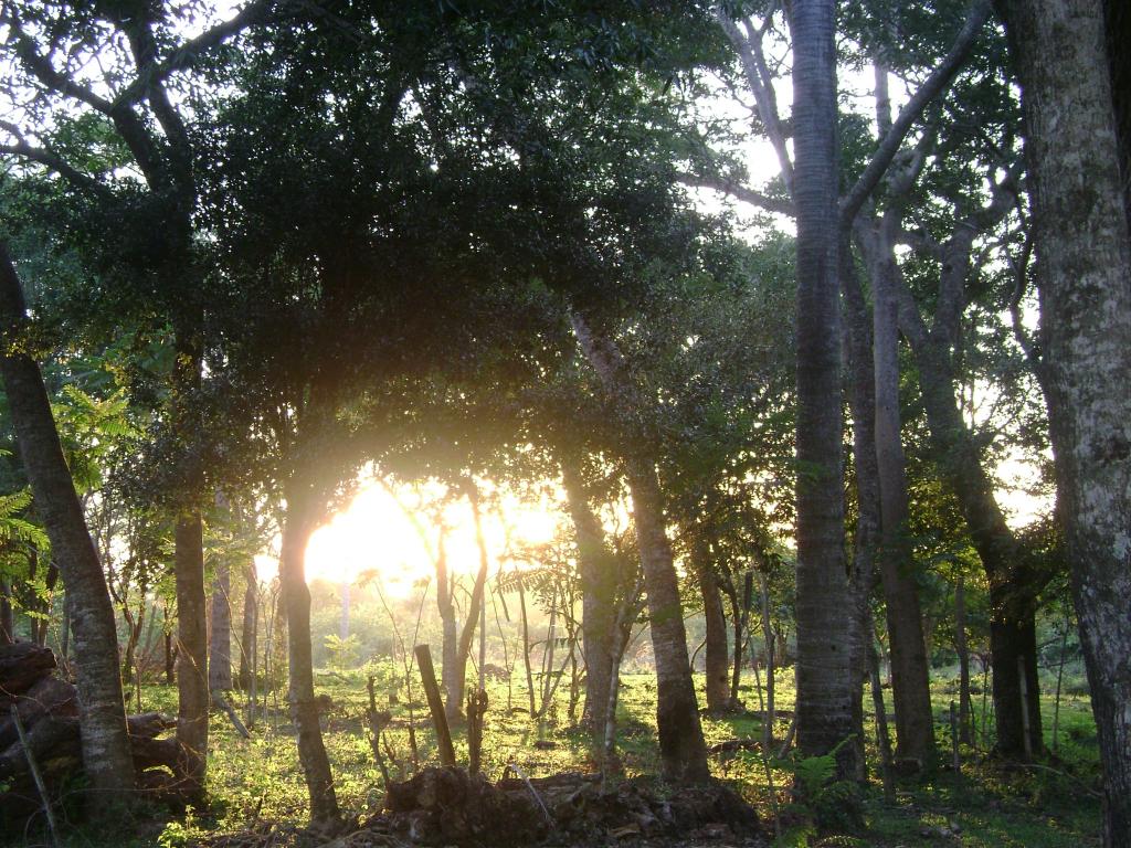 Foto de San José (Caaguazu), Paraguay