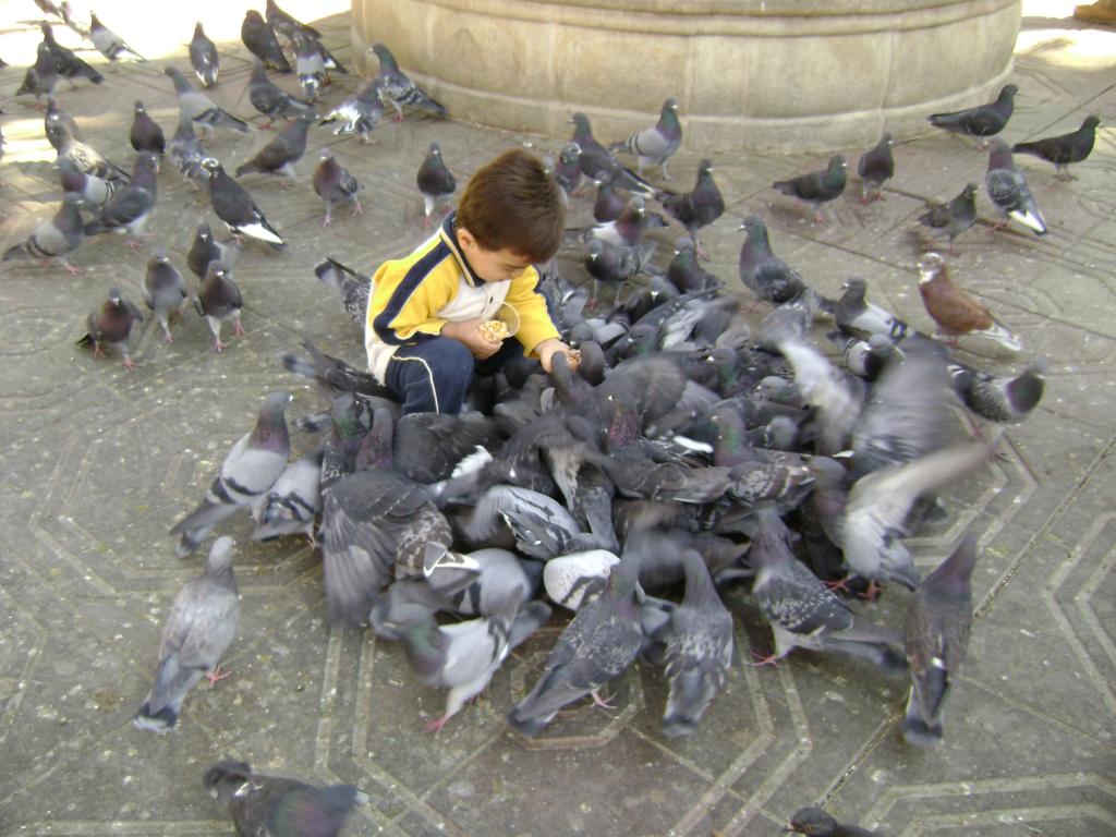 Foto de Yacuiba (Tarija), Bolivia