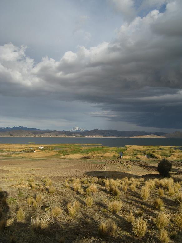 Foto de Huatajata, Bolivia