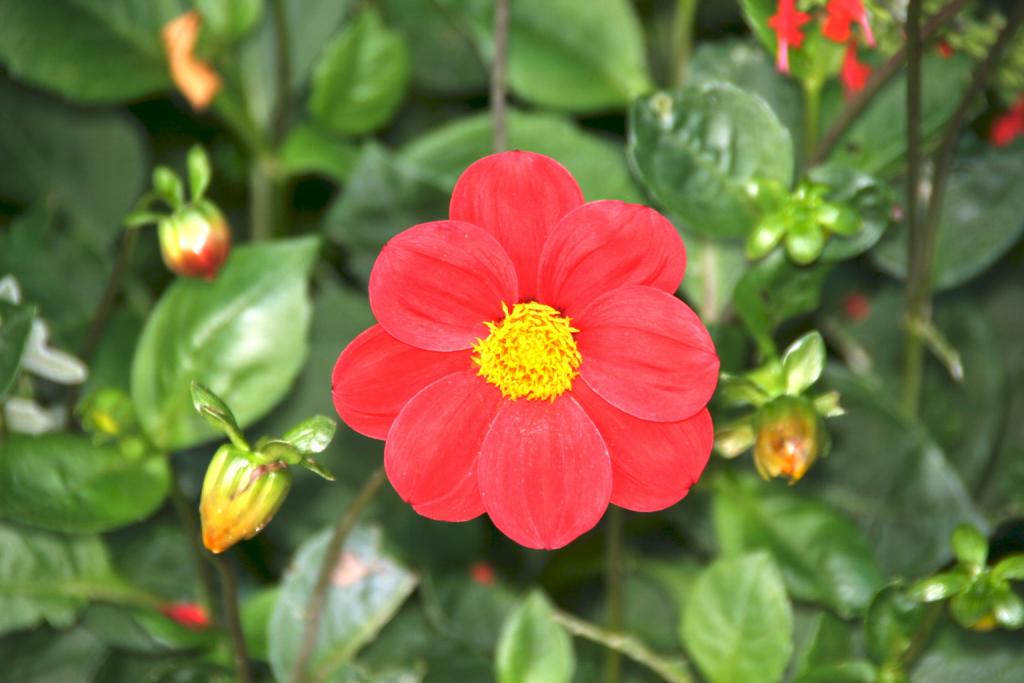 Foto de Tours, Francia