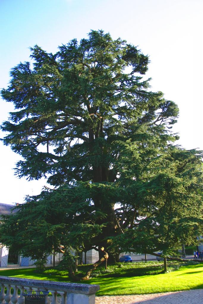 Foto de Tours, Francia