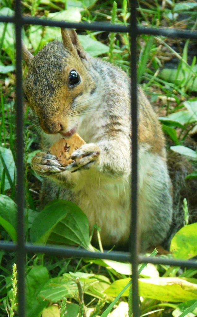 Foto de Manhattan (New York), Estados Unidos