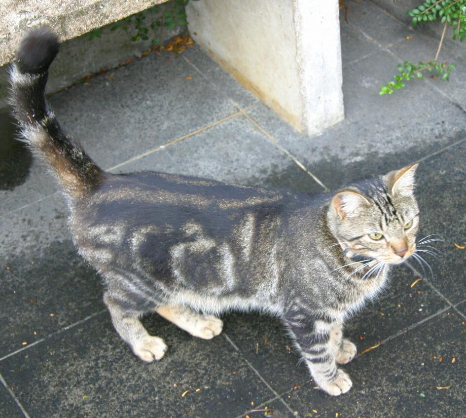 Foto de Poitiers, Francia