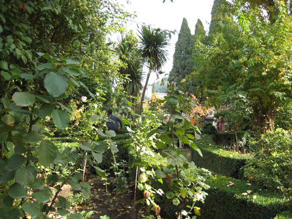 Foto de Granada (Andalucía), España