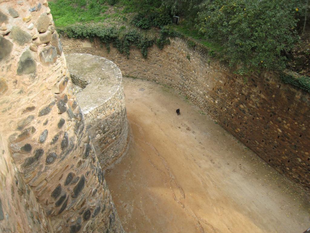 Foto de Granada (Andalucía), España