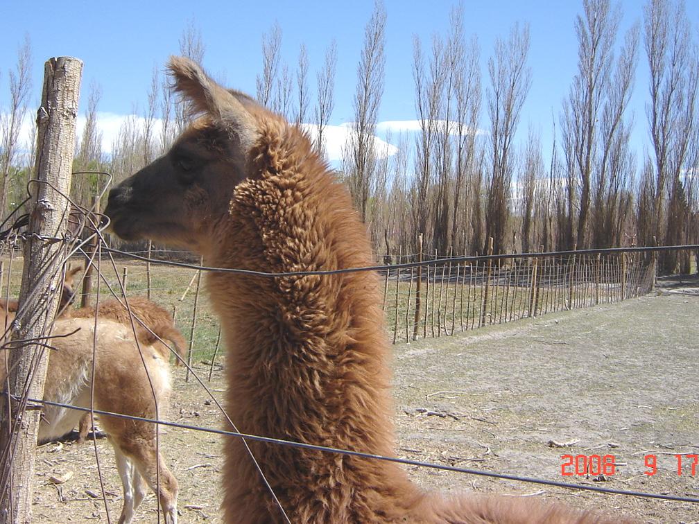 Foto de Rodeo (San Juan), Argentina