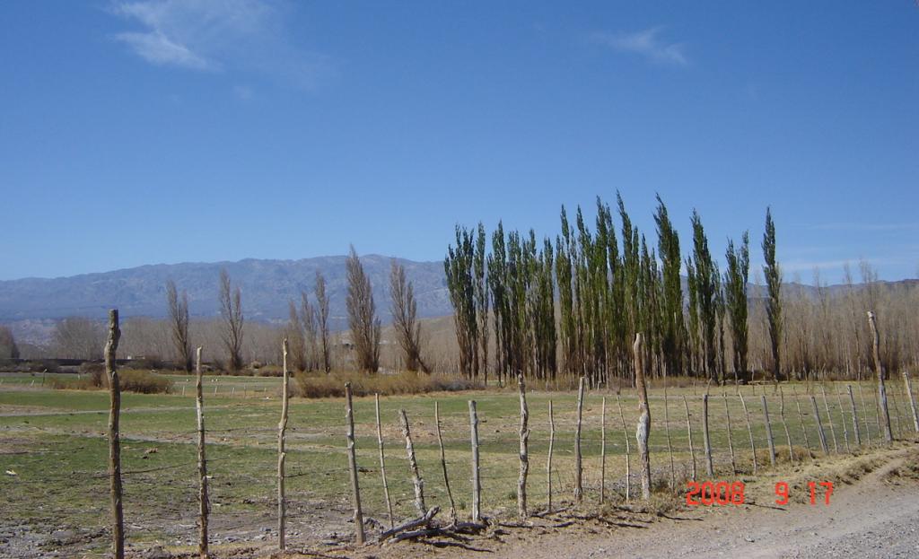 Foto de Rodeo (San Juan), Argentina