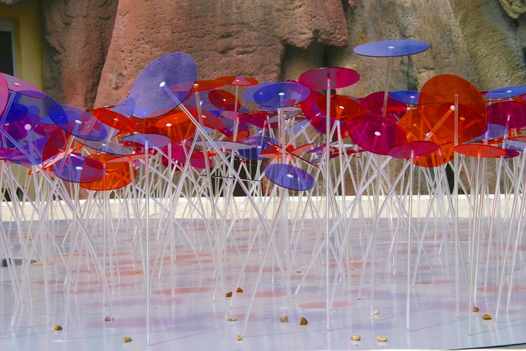 Foto de Poitiers, Francia