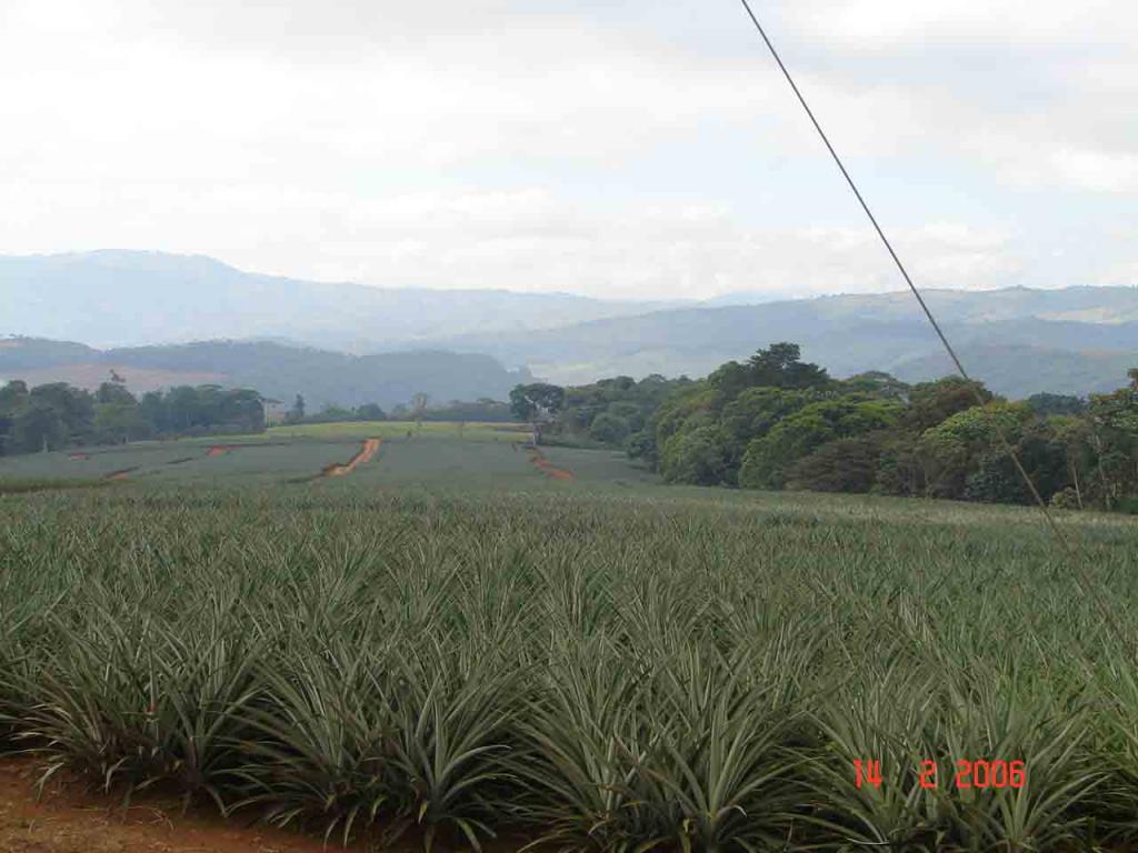 Foto de Buenos Aires (Puntarenas), Costa Rica