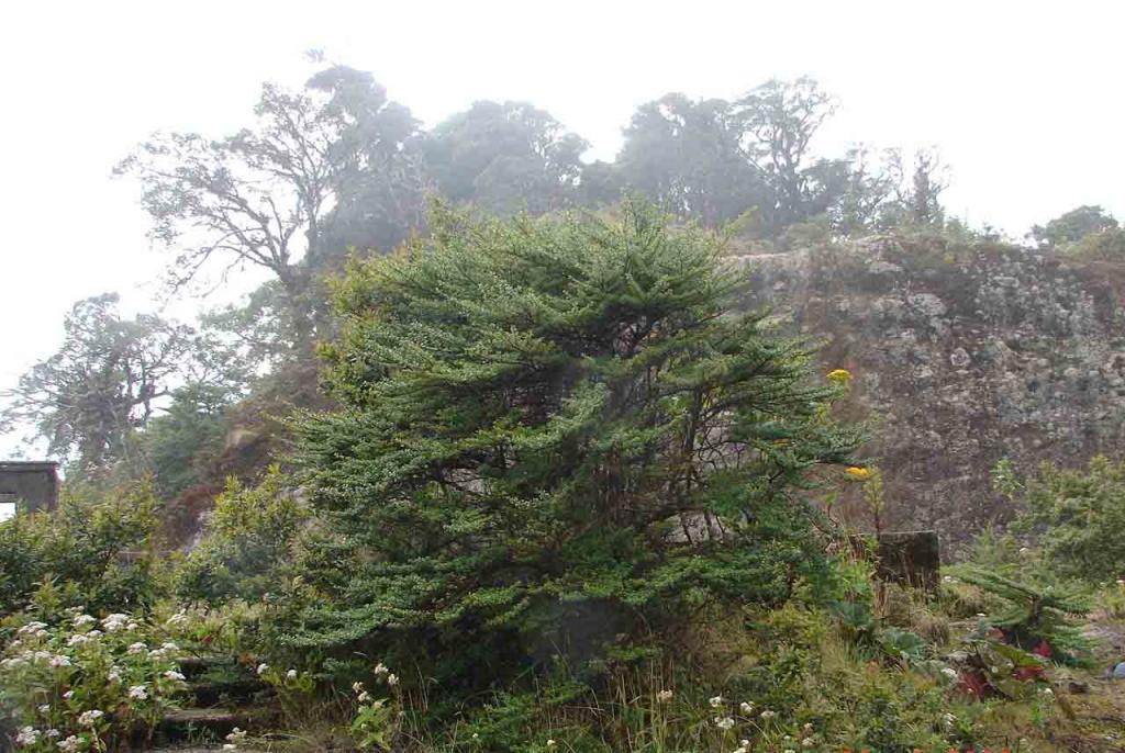 Foto de Cartago, Costa Rica