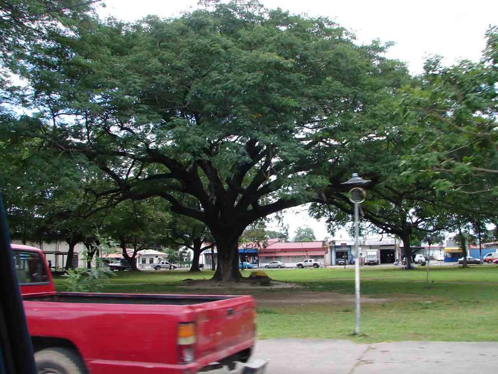 Foto de Liberia (Guanacaste), Costa Rica