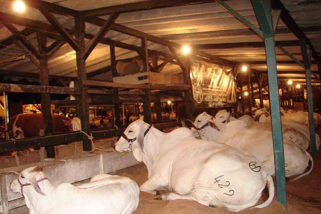 Foto de Perez Zeledon (San José), Costa Rica