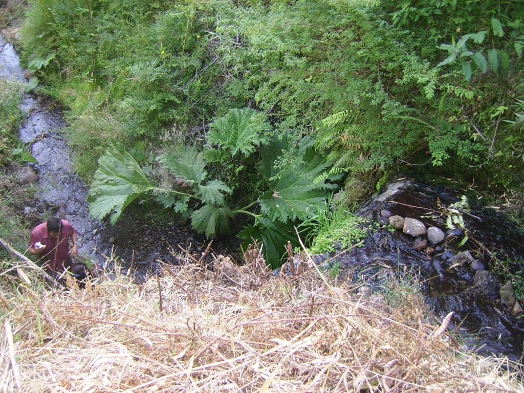 Foto de Chiloe, Chile