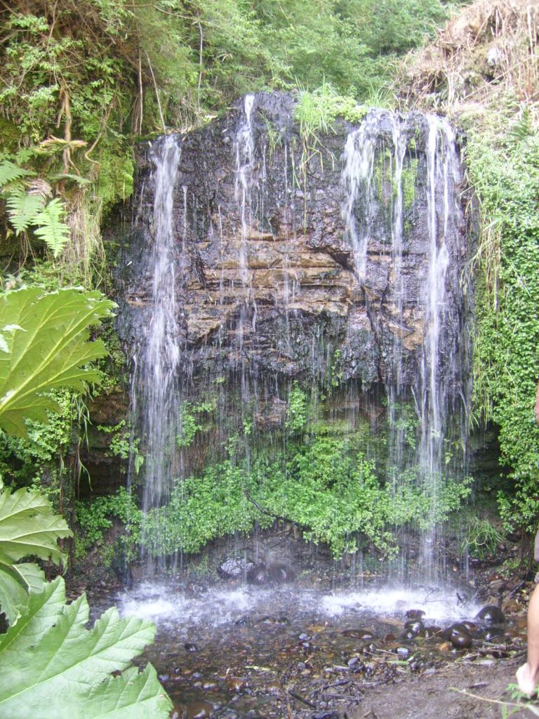 Foto de Chiloe, Chile