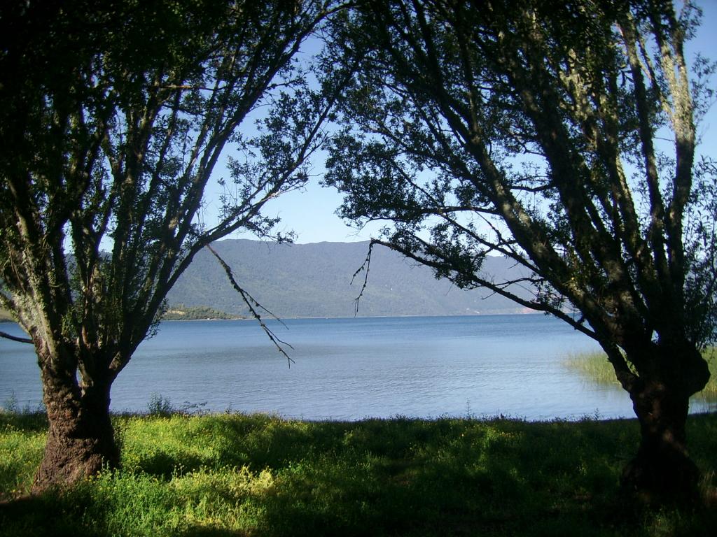 Foto de Los Lagos, Chile