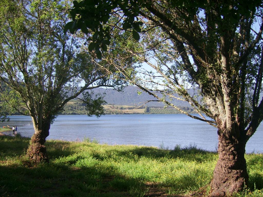 Foto de Los Lagos, Chile