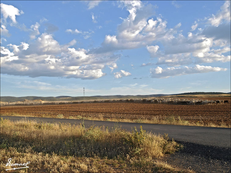 Foto de Alconchel de Ariza (Zaragoza), España