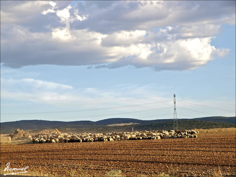 Foto de Alconchel de Ariza (Zaragoza), España