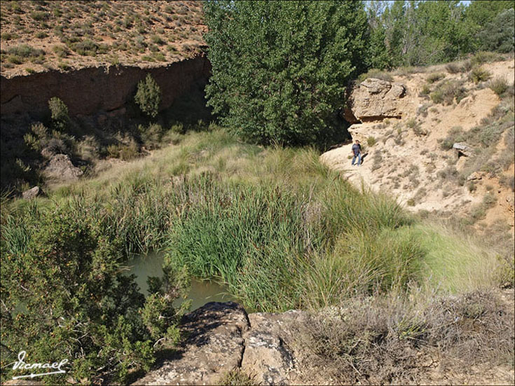 Foto de Alconchel de Ariza (Zaragoza), España