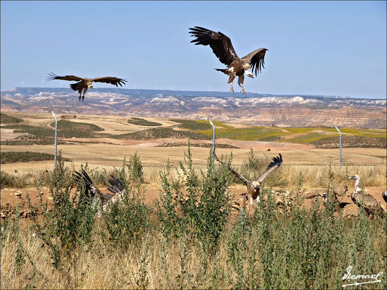 Foto de Santa María de Huerta (Soria), España