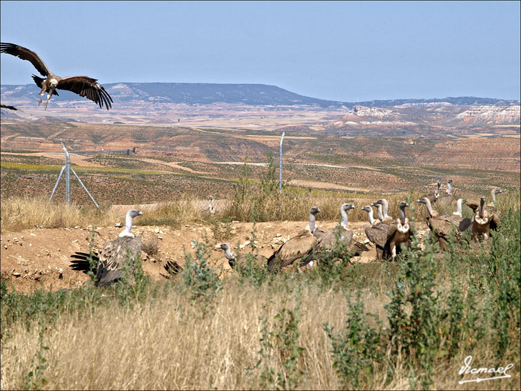 Foto de Santa María de Huerta (Soria), España
